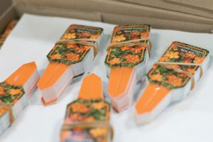Bildetiketten für Pflanzen aus Kunststoff - Stecketiketten